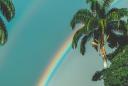 Que haja luz: More light for torch!